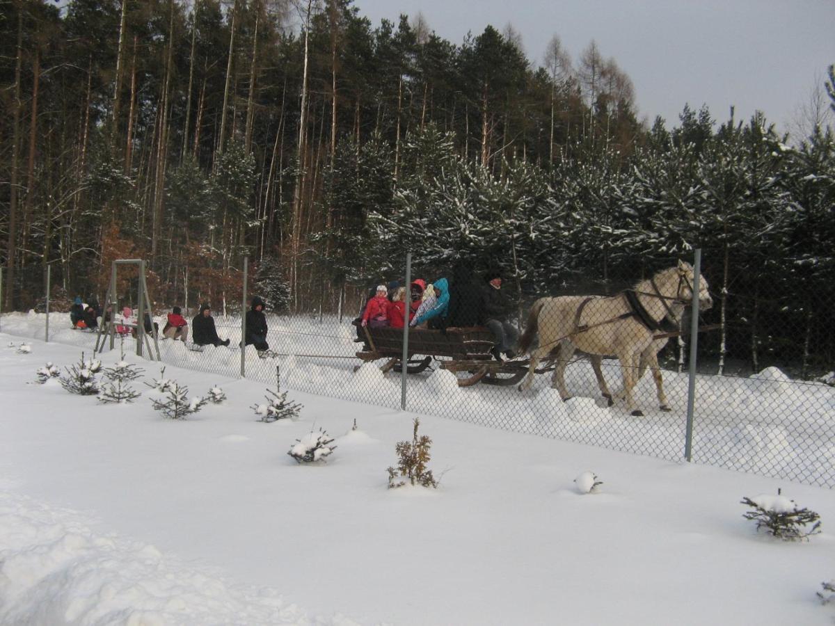 Lesny Dworek Snochowice Luaran gambar